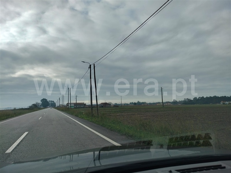 Terreno  Murtosa, Torreira - 1451686 - 1