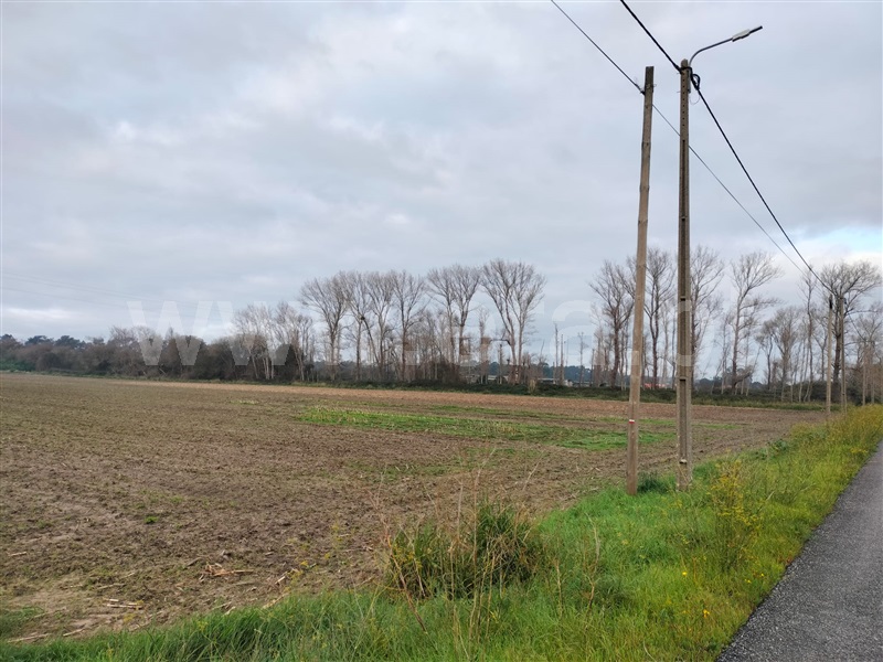 Terreno  Murtosa, Torreira - 1451686 - 2