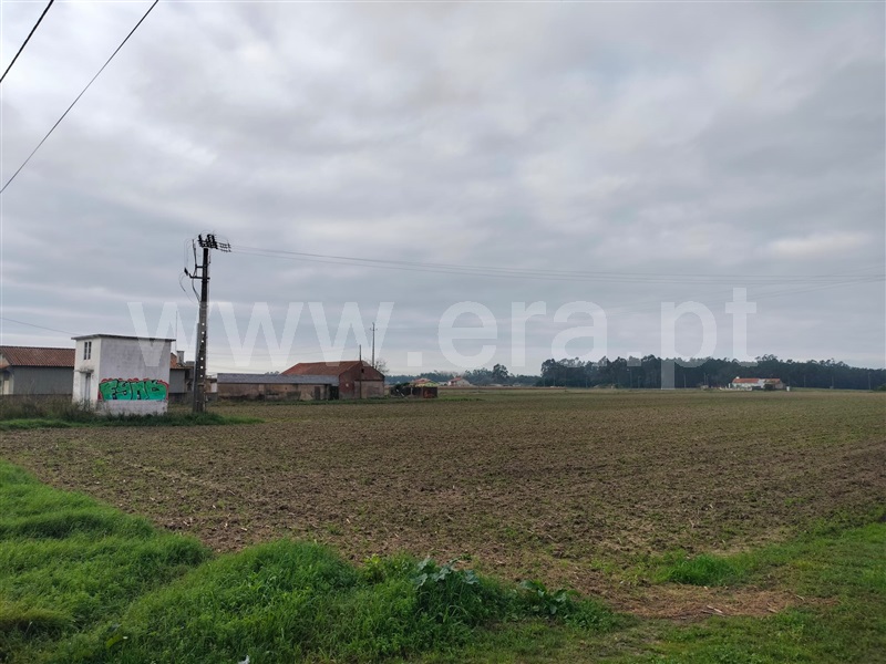 Terreno  Murtosa, Torreira - 1451686 - 4