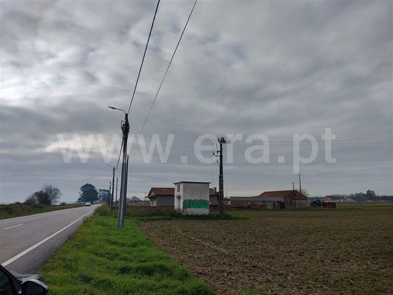 Terreno  Murtosa, Torreira - 1451686 - 6