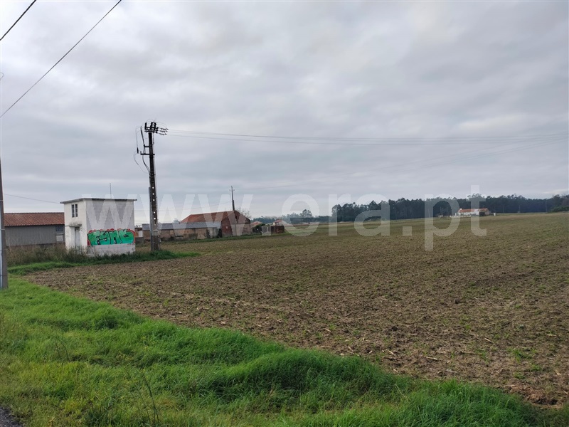 Terreno  Murtosa, Torreira - 1451686 - 8