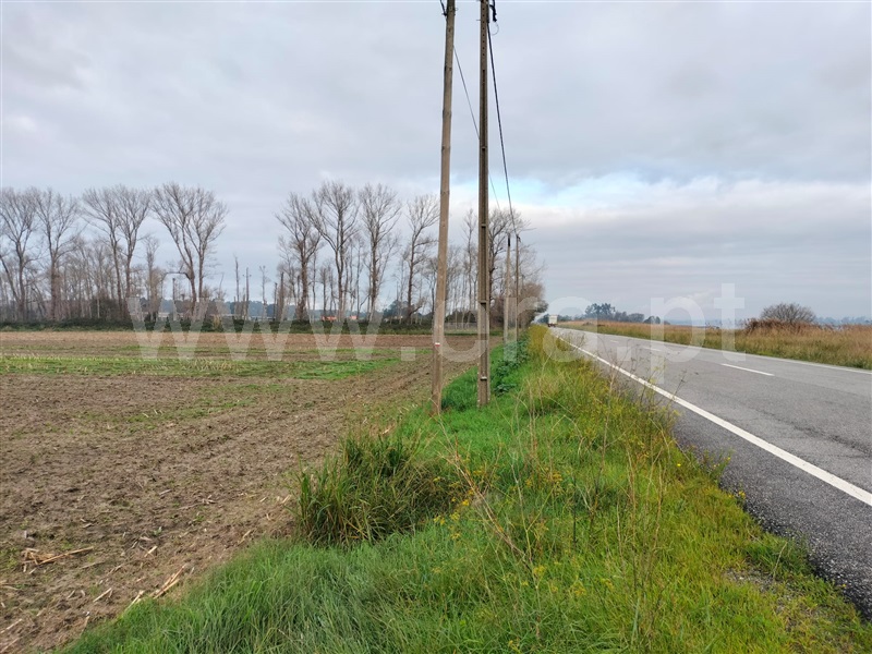 Terreno  Murtosa, Torreira - 1451686 - 9