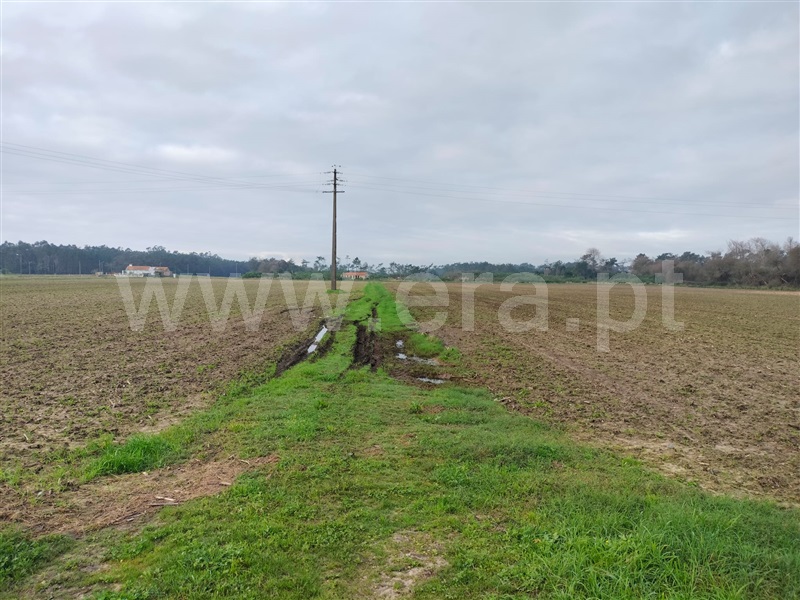 Terreno  Murtosa, Torreira - 1451686 - 10