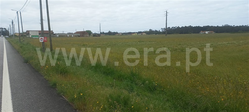 Terreno  Murtosa, Torreira - 1451686 - 9