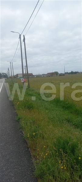 Terreno  Murtosa, Torreira - 1451686 - 11