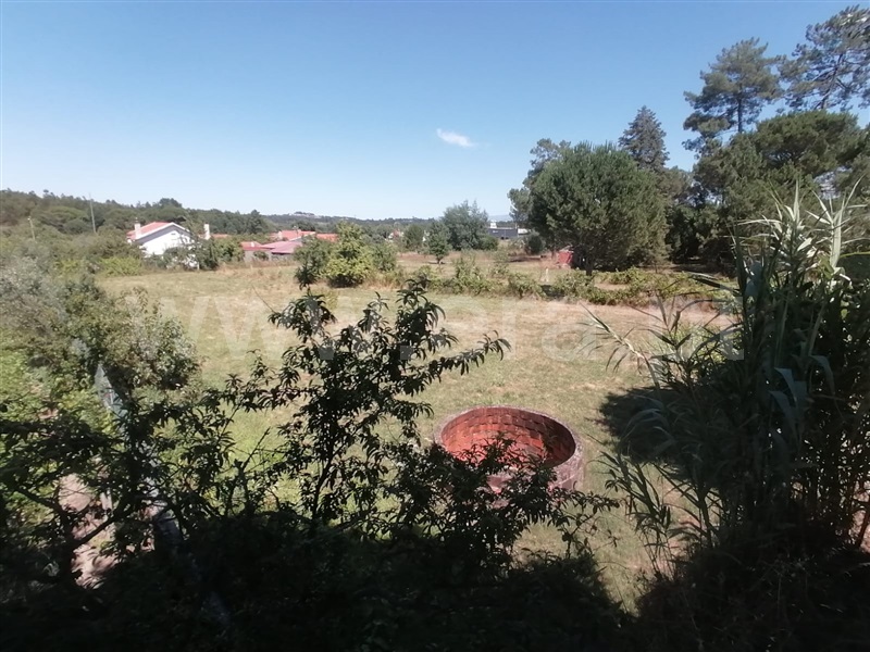 Terreno / Nelas, Canas de Senhorim