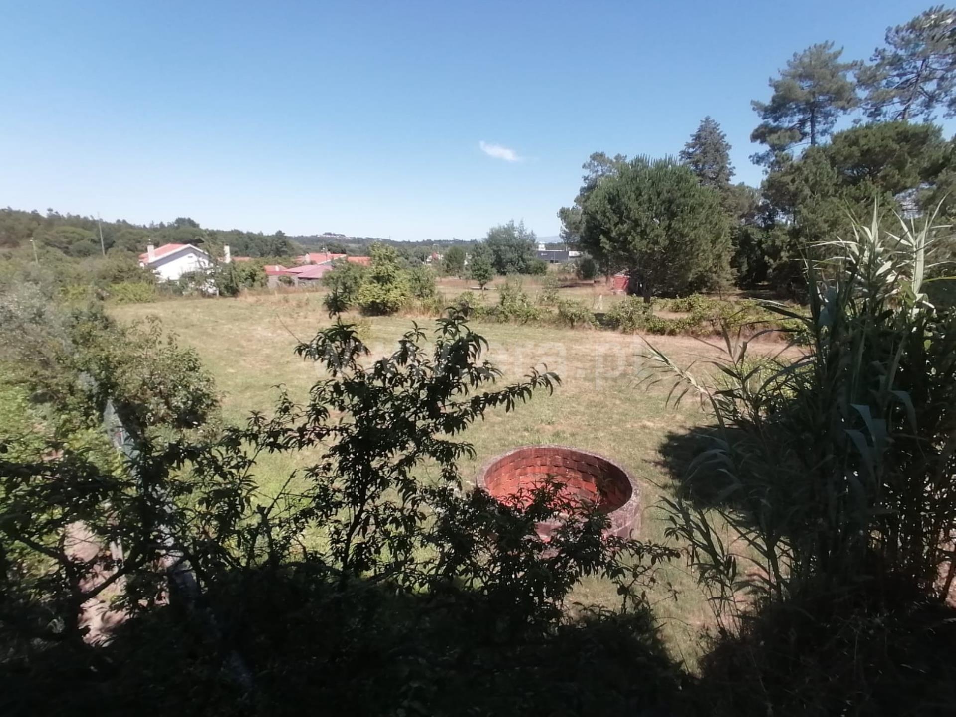 Terreno em Nelas