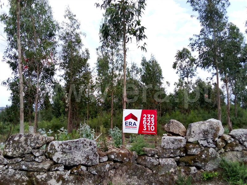 Terreno / Nelas, Senhorim