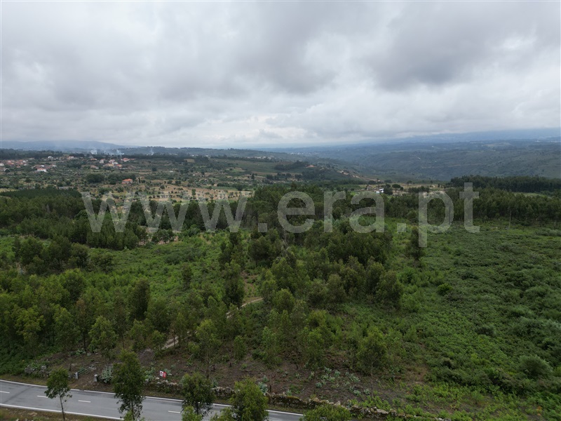Terreno  Nelas, Senhorim - 1331566 - 6