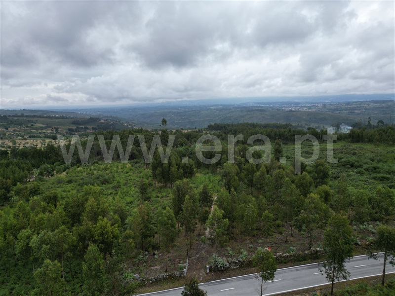 Terreno  Nelas, Senhorim - 1331566 - 7