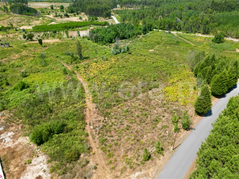 Quinta / Nelas, Senhorim