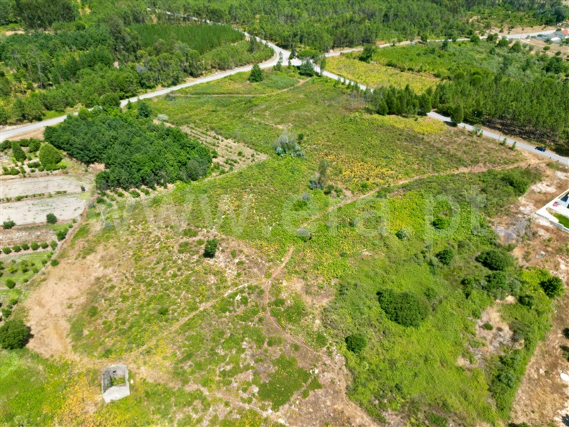 Quinta  Nelas, Senhorim - 1465429 - 4