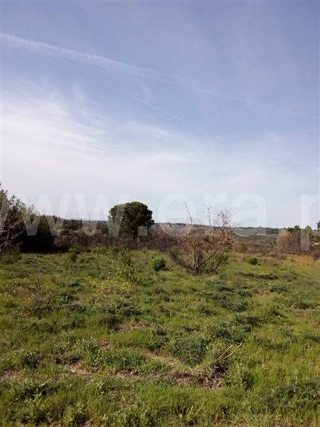 Terreno  Nelas, Vilar Seco - 1319841 - 3