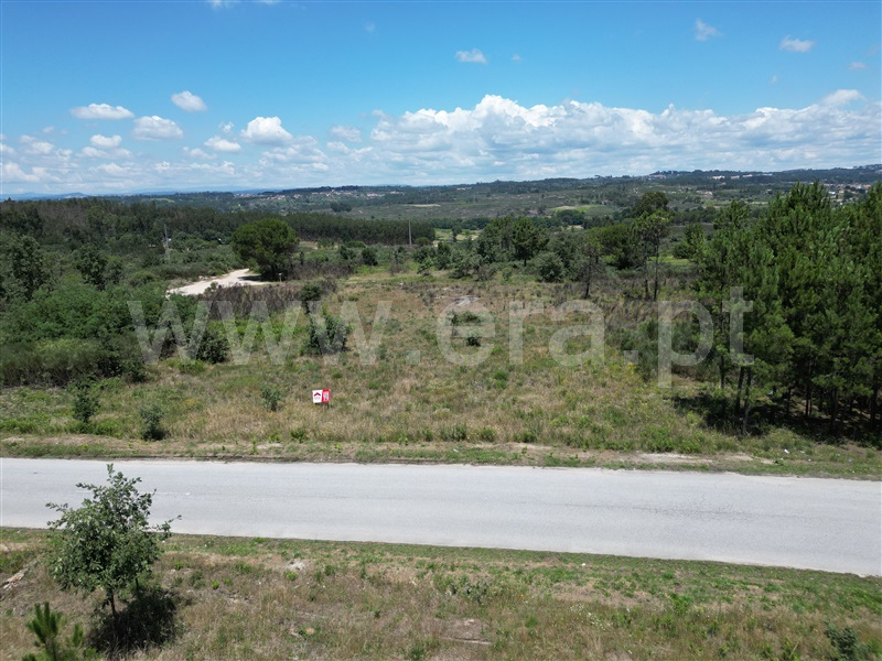 Terreno / Nelas, Vilar Seco