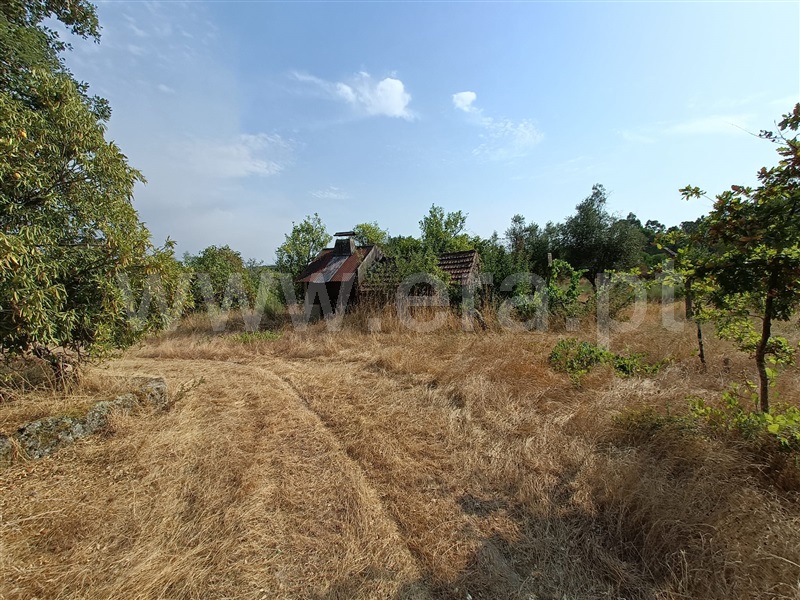 Terreno / Nelas, Vilar Seco