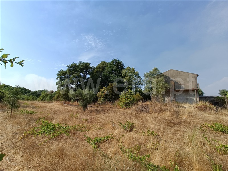 Terreno  Nelas, Vilar Seco - 1499296 - 5