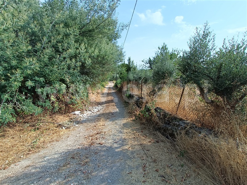 Terreno  Nelas, Vilar Seco - 1499296 - 6