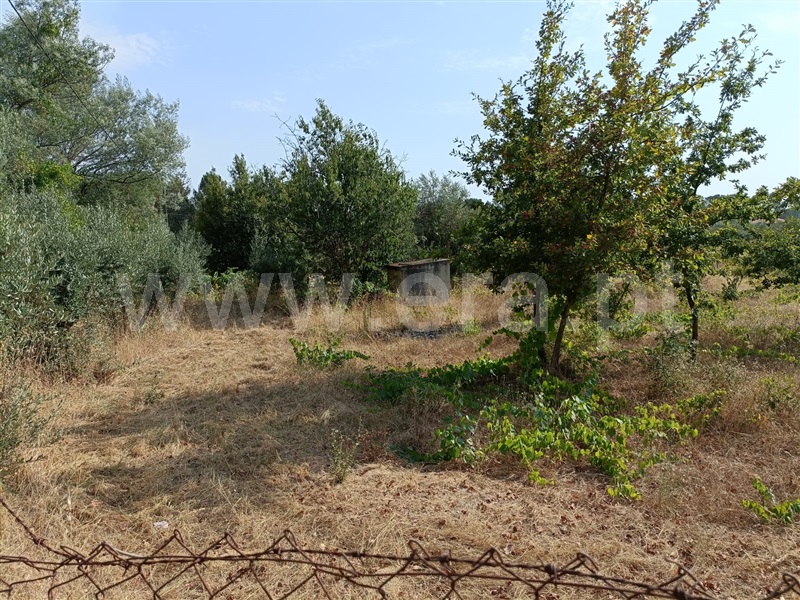 Terreno  Nelas, Vilar Seco - 1499296 - 8