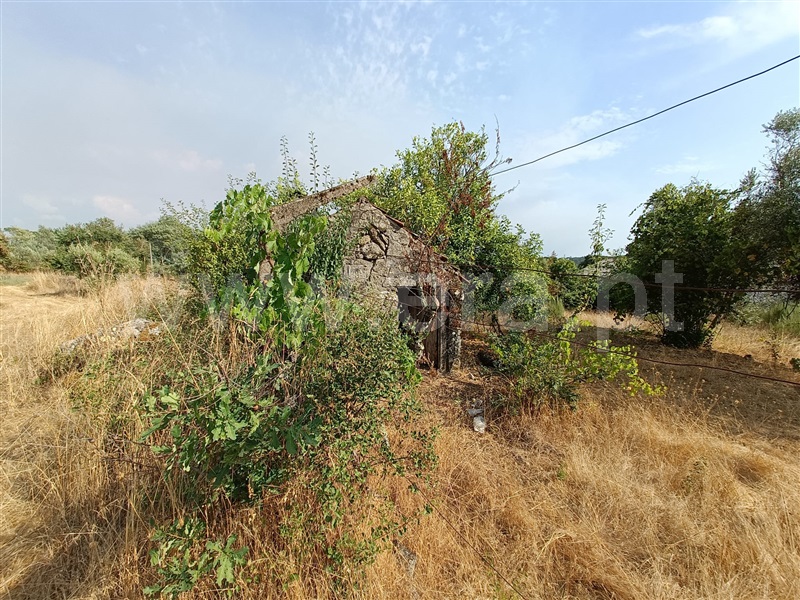 Terreno  Nelas, Vilar Seco - 1499296 - 10