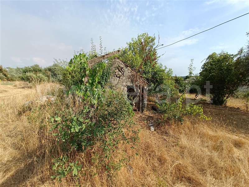 Terreno  Nelas, Vilar Seco - 1499296 - 11