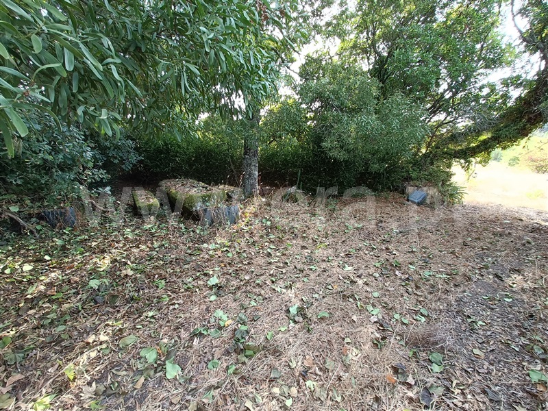 Terreno  Nelas, Vilar Seco - 1499296 - 13