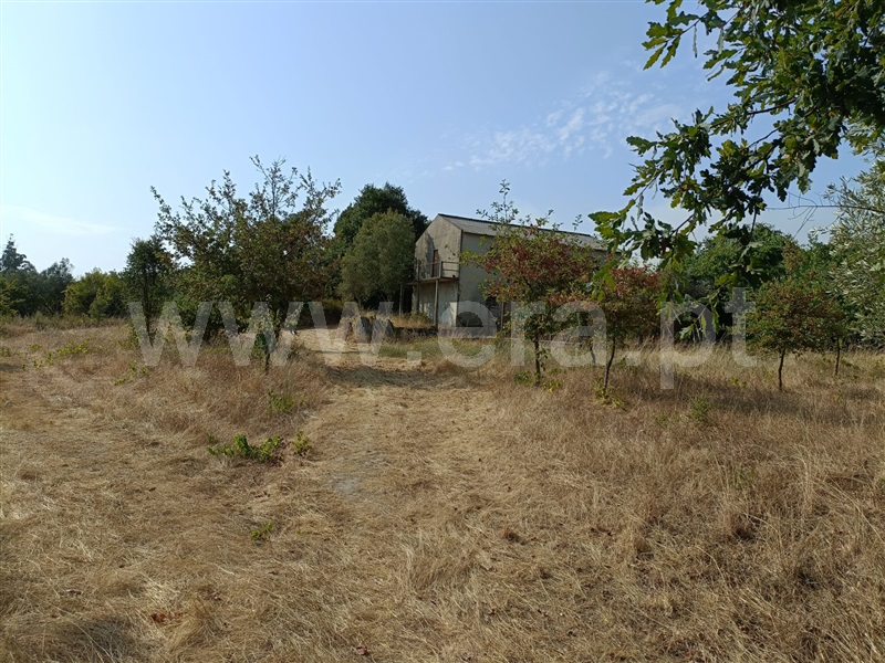 Terreno  Nelas, Vilar Seco - 1499296 - 14