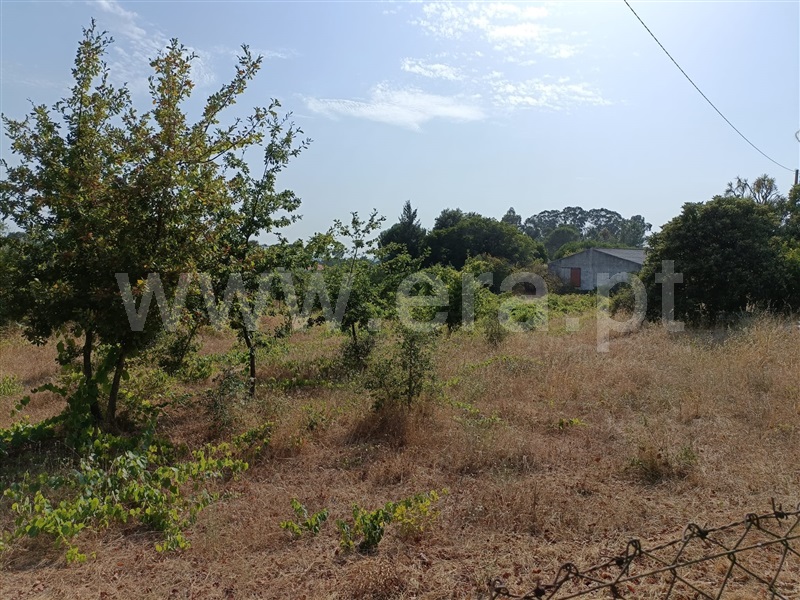 Terreno  Nelas, Vilar Seco - 1499296 - 17