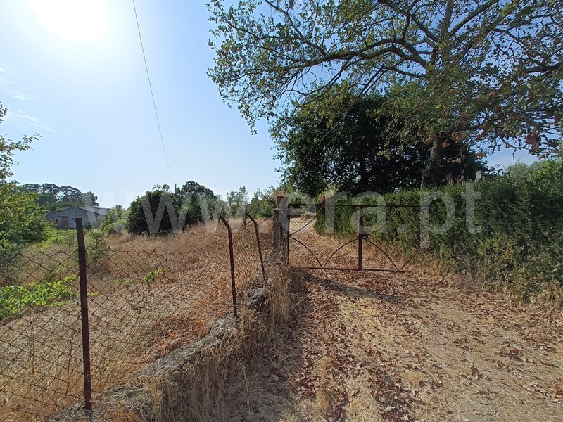 Terreno  Nelas, Vilar Seco - 1499296 - 33
