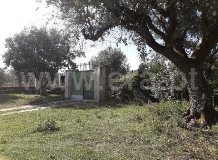 Terreno / Nelas, Vilar Seco