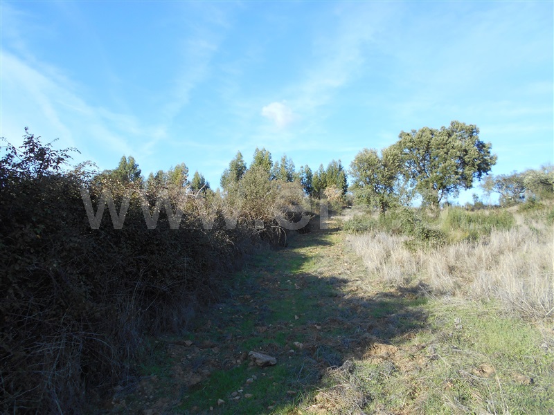 Terreno  Nisa, Nisa - 1053993 - 4
