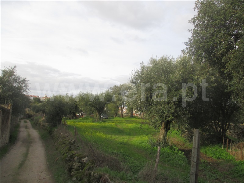 Terreno  Nisa, Nisa - 1055092 - 3