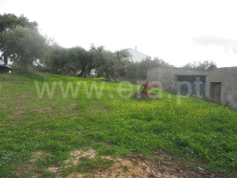 Terreno / Nisa, Nisa