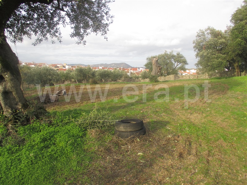 Terreno  Nisa, Nisa - 1055092 - 9