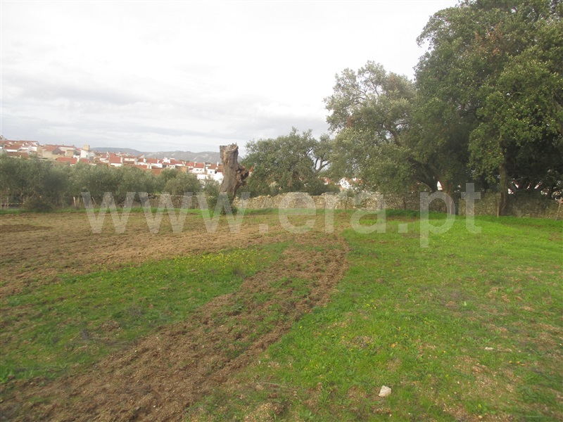 Terreno  Nisa, Nisa - 1055092 - 1