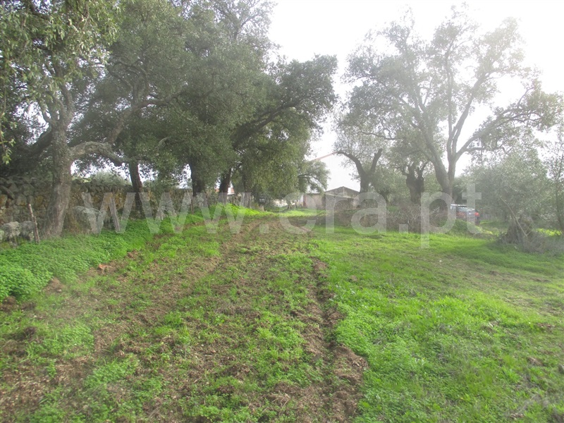 Terreno  Nisa, Nisa - 1055092 - 10