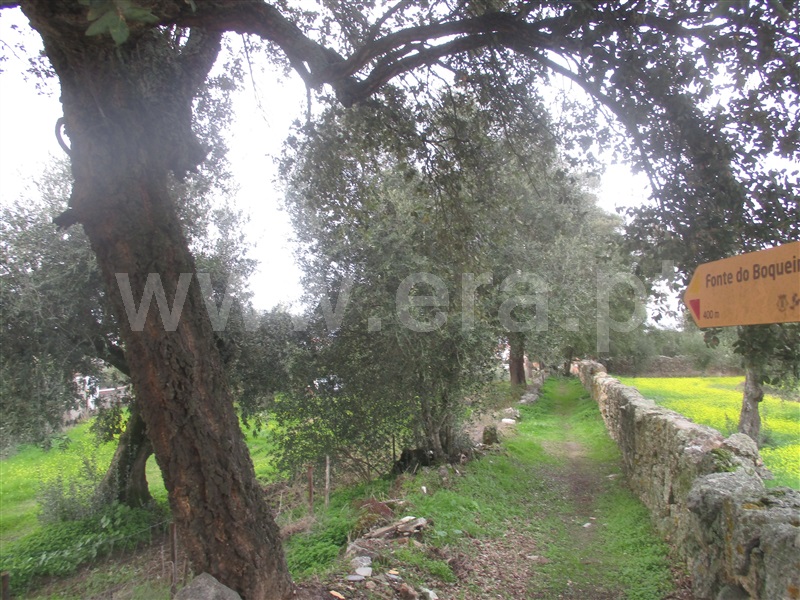 Terreno  Nisa, Nisa - 1055092 - 12