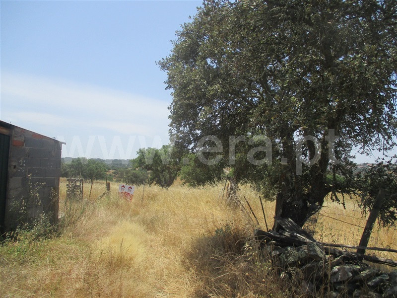 Terreno  Nisa, Nisa - 1181034 - 2