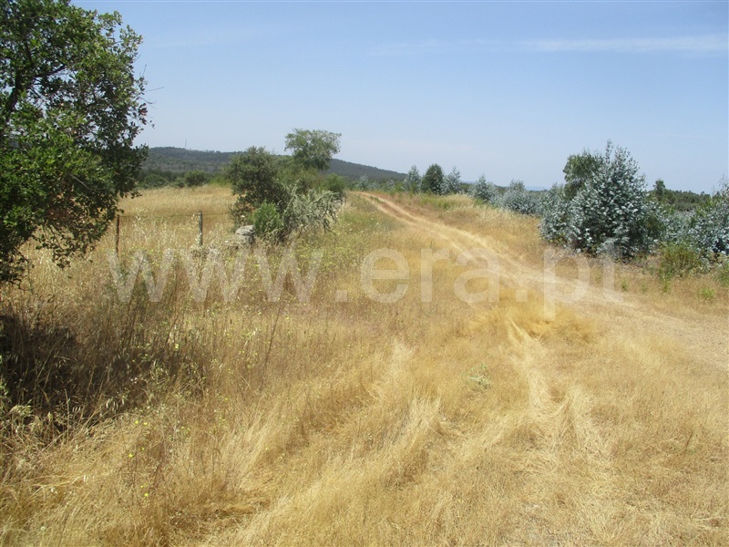 Terreno  Nisa, Nisa - 1181034 - 9