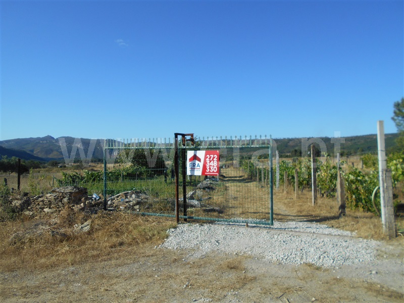Terreno  Nisa, Santana - 1098272 - 2