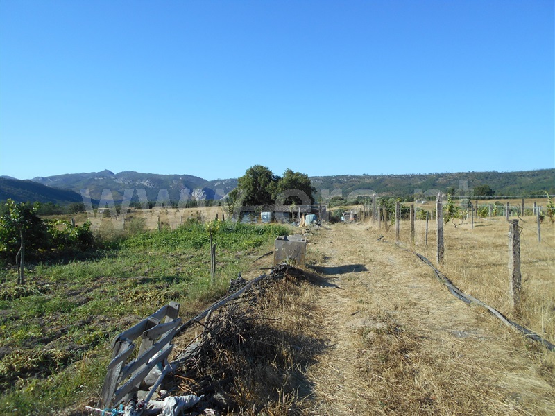 Terreno  Nisa, Santana - 1098272 - 3