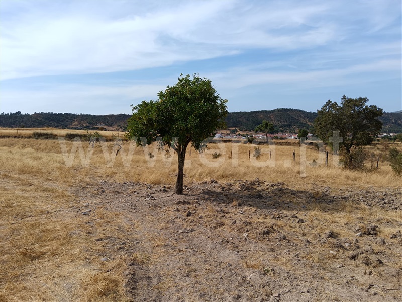 Terreno  Nisa, Santana - 1497802 - 2