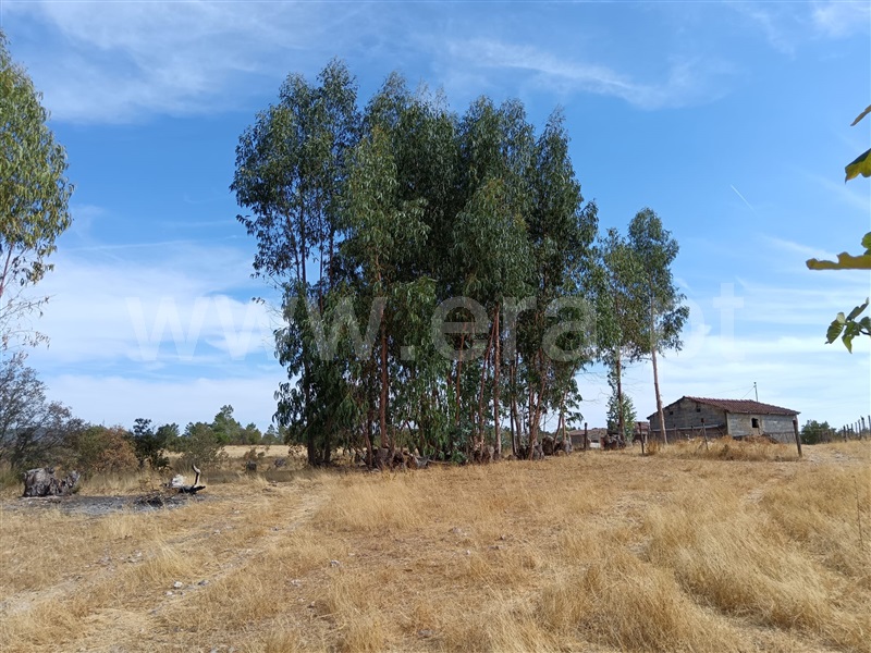 Terreno  Nisa, Santana - 1497802 - 4