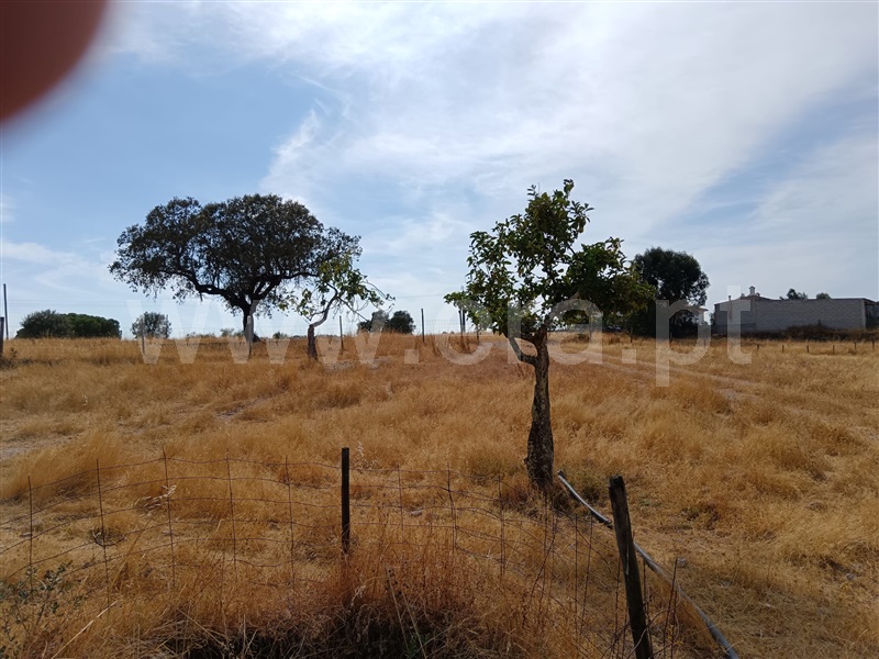 Terreno  Nisa, Santana - 1497802 - 6