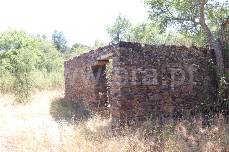 Terreno  Nisa, São Matias - 1415698 - 3