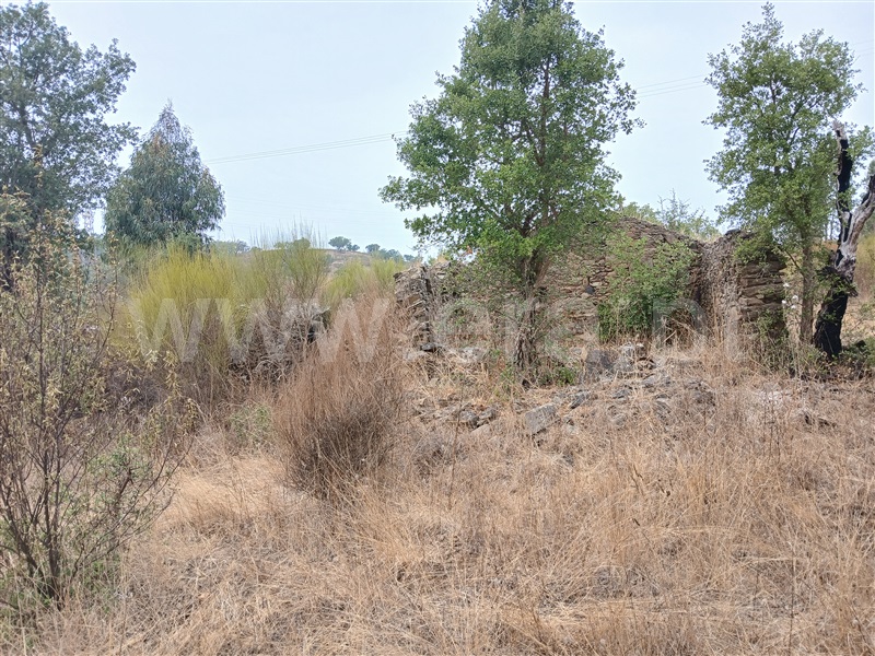 Terreno  Nisa, São Matias - 1415698 - 5