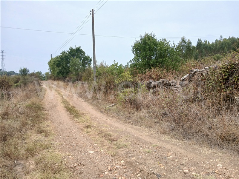 Terreno  Nisa, São Matias - 1415698 - 6