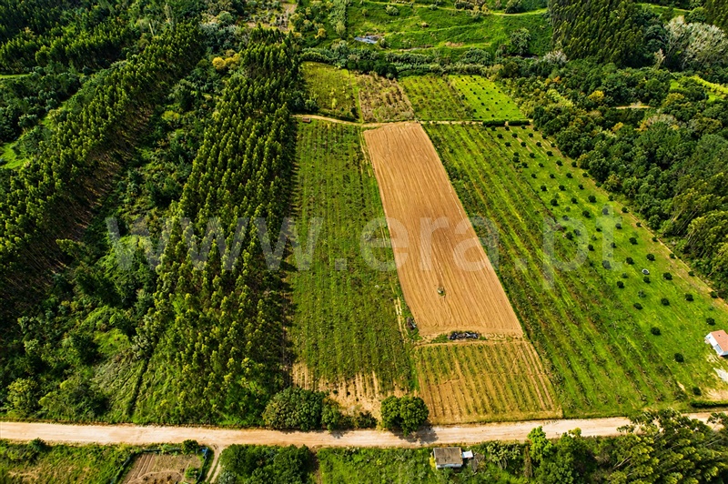 Terreno / Óbidos, A-dos-Negros