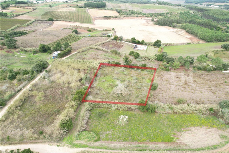 Terreno / Óbidos, Amoreira