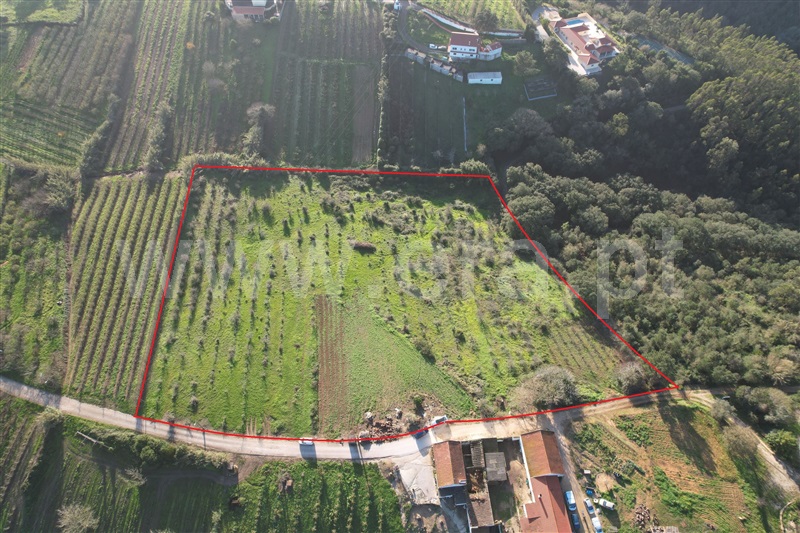 Terreno / Óbidos, Usseira