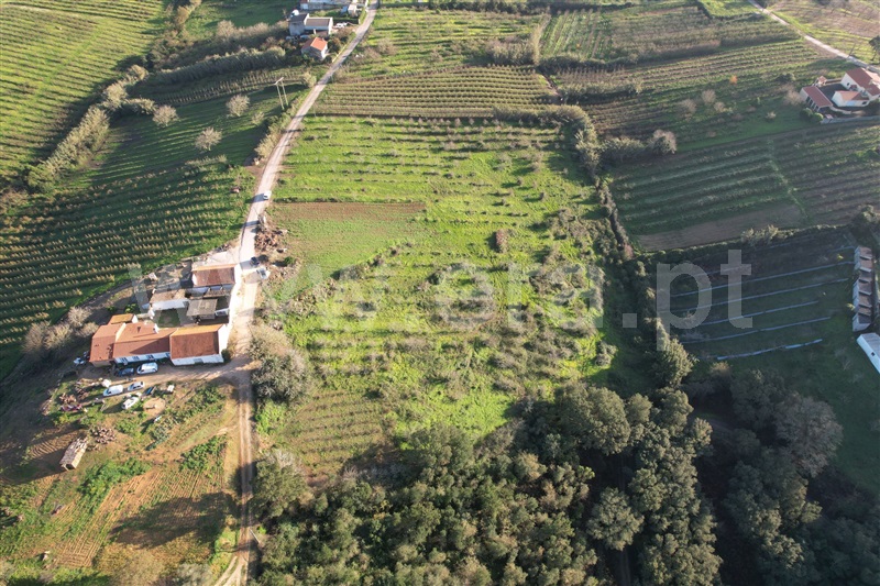 Terreno Rústico  Óbidos, Usseira - 1300834 - 5